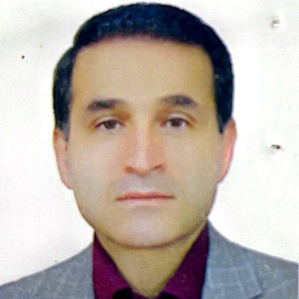 محمود ولی زاده 